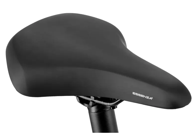 Rower elektryczny WINORA Yucatan X10 Low - obrazek 2