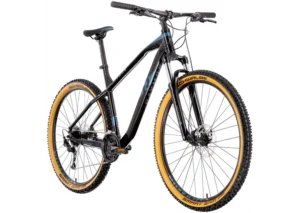 Rower MTB R-RAYMON HardRay Nine 3.0