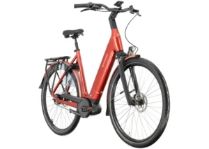 Rower elektryczny BATAVUS Finez E-go Power Plus