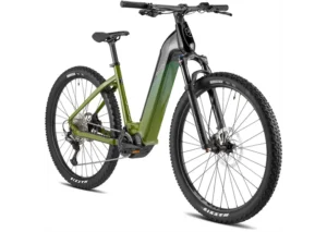 Rower elektryczny BESV TRX 1.1