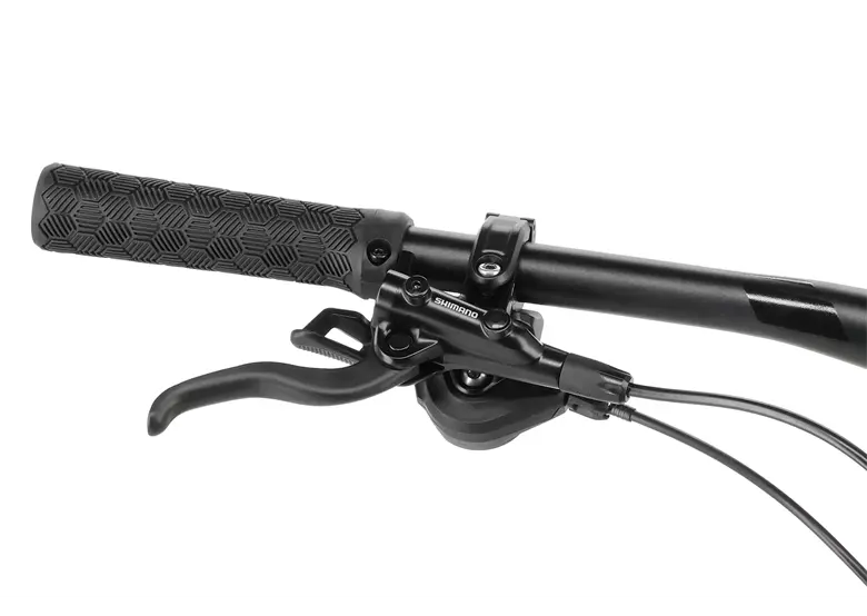 Rower elektryczny BULLS Sonic AM-SX-1 - obrazek 9