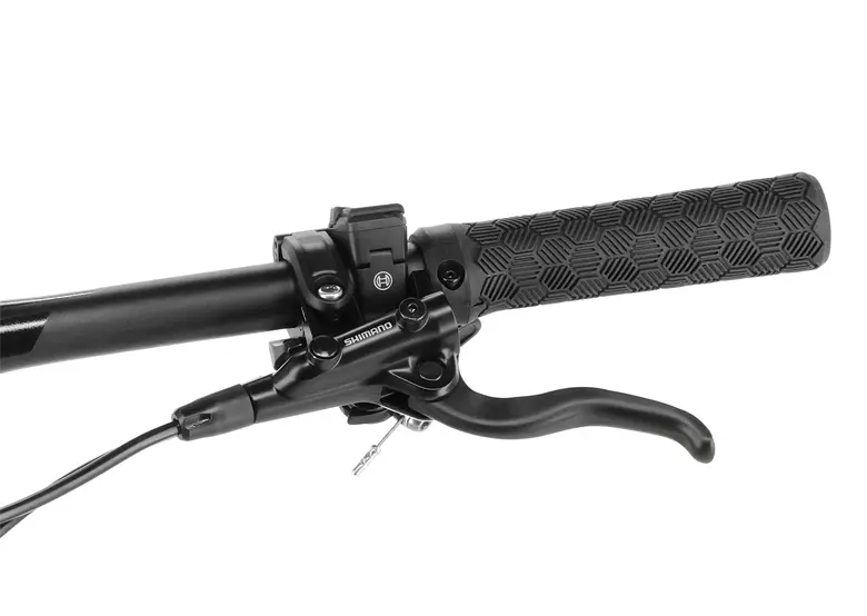 Rower elektryczny BULLS Sonic AM-SX-1 - obrazek 10