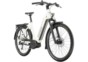 Rower elektryczny R-RAYMON Metmo Acera (1x8)