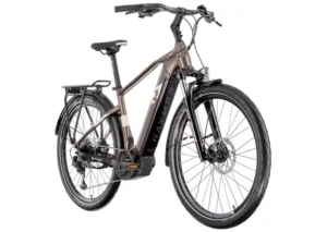 Rower elektryczny R-RAYMON TourRay E 5.0 Gent 9S M350