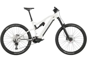 Rower elektryczny R-RAYMON Trailray 170