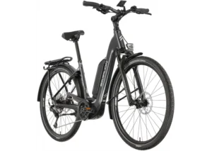 Rower elektryczny SIMPLON Chenoa 365 E BIATY