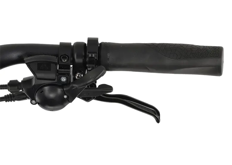 Rower elektryczny WINORA CB100 Einrohr - obrazek 11