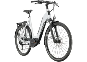 Rower elektryczny WINORA Tria X9