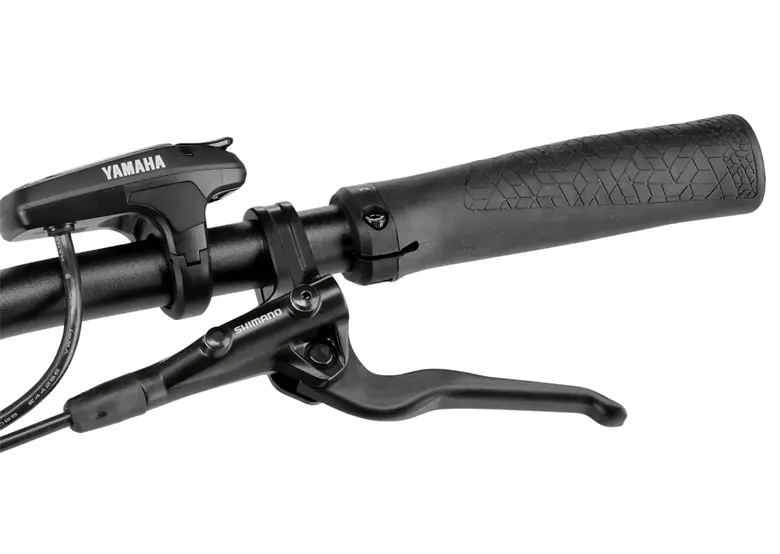 Rower elektryczny WINORA Yucatan X10 Low - obrazek 10