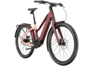 Rower elektryczny WINORA iRide Pure R5f CZA